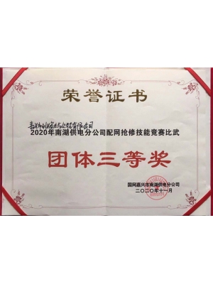 2020年配網(wǎng)搶修技能比賽比武團體三等獎